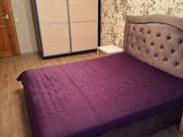 Nuomojamas jaukus ir tvarkingas 2 kambarių - nuotraukos Nr. 2