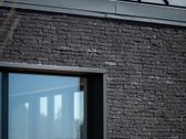 Pilialaukio šilas – tai miško kaimynystėje - nuotraukos Nr. 6