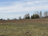 Lygus žemės ūkio paskirties žemės sklypas su