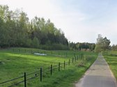 Pagrindinis sklypas: - nuotraukos Nr. 7