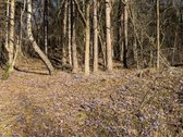 Parduodamas sklypas, skirtas dviejų - nuotraukos Nr. 9