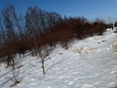  Plotas – 11 arų