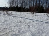  Plotas – 11 arų - nuotraukos Nr. 2