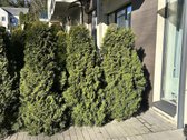 Parduodamas Gražus, Šviesus Ir Erdvus Butas - nuotraukos Nr. 34