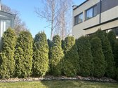 Parduodamas Gražus, Šviesus Ir Erdvus Butas - nuotraukos Nr. 39