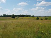 Parduodamas sklypas Šiaulių rajone, Ginkūnų - nuotraukos Nr. 7