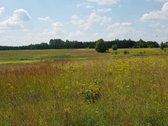 Parduodamas sklypas Šiaulių rajone, Ginkūnų - nuotraukos Nr. 8