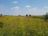 Parduodamas sklypas Šiaulių rajone, Ginkūnų - nuotraukos Nr. 9