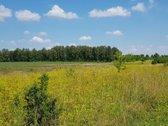 Parduodamas sklypas Šiaulių rajone, Ginkūnų - nuotraukos Nr. 10