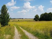 Parduodamas sklypas Šiaulių rajone, Ginkūnų - nuotraukos Nr. 11