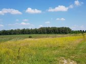 Parduodamas sklypas Šiaulių rajone, Ginkūnų - nuotraukos Nr. 13