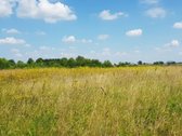 Parduodamas sklypas Šiaulių rajone, Ginkūnų - nuotraukos Nr. 19