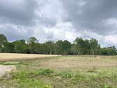 Parduodami Komercinės Paskirties Sklypai, - nuotraukos Nr. 3