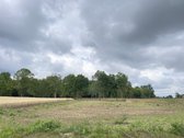 Parduodami Komercinės Paskirties Sklypai, - nuotraukos Nr. 5