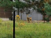 Įrengtas kotedžas 91 m² su terasomis, sodu ir - nuotraukos Nr. 31