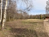 Gražioje vietoje parduodamas 50 arų namų
