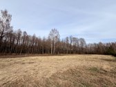 Gražioje vietoje parduodamas 50 arų namų - nuotraukos Nr. 2