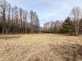 Gražioje vietoje parduodamas 50 arų namų - nuotraukos Nr. 3