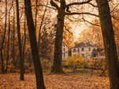 Vienas rečiausių sklypų Žaliakalnyje – su