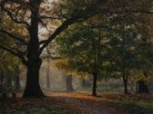 Vienas rečiausių sklypų Žaliakalnyje – su - nuotraukos Nr. 3