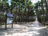 Ar svajojote apie gyvenimą šalia jūros, kur - nuotraukos Nr. 36
