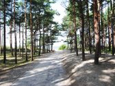 Ar svajojote apie gyvenimą šalia jūros, kur - nuotraukos Nr. 35
