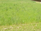 Sklypas dviejų gatvių sankirtoje,centrinėje - nuotraukos Nr. 4