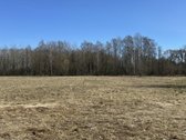 Parduodu 0,57 ha žemės sklypą Kamajų sen., - nuotraukos Nr. 3