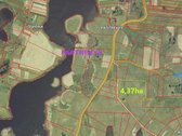 Parduodamas 4,37 ha žemės ūkio paskirties - nuotraukos Nr. 4