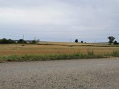 Parduodama 4.32 ha žemės ūkio paskirties - nuotraukos Nr. 2