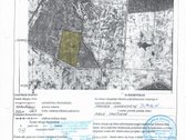 7.74 ha Žemės ūkio paskirties sklypas.