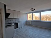 Be tarpininkų parduodamas 1 kambario, naujai - nuotraukos Nr. 5