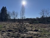 Parduodamas 0,59 aro išskirtinis sklypas - nuotraukos Nr. 6