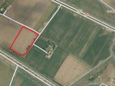 Parduodamas žemės ūkio paskirties sklypas - nuotraukos Nr. 2
