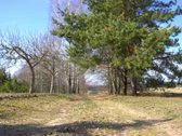 Parduodamas autentiškas vienkiemis Gurčiškėse - nuotraukos Nr. 27