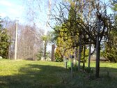 Parduodamas autentiškas vienkiemis Gurčiškėse - nuotraukos Nr. 33