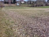 Parduodamas erdvus namų valdos sklypas