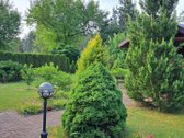 Erdvus Šeimos Namas Prie Bukčių Miško – - nuotraukos Nr. 2
