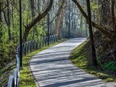 Parduodamas namų valdos žemės sklypai/as - nuotraukos Nr. 6