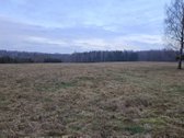 Endriejavo sen., Zadeikiu km. parduodama - nuotraukos Nr. 13