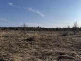 Parduodami trys besiribojantys sklypai Molėtų - nuotraukos Nr. 5