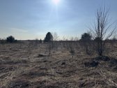 Parduodami trys besiribojantys sklypai Molėtų - nuotraukos Nr. 6