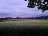 Ieškote ramybės gamtos apsuptyje, tačiau - nuotraukos Nr. 4