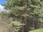Parduodamas unikalus sklypas besiribojantis - nuotraukos Nr. 4
