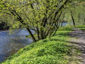 Išskirtinėje sostinės vietoje, vilniečių itin - nuotraukos Nr. 3