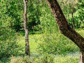 Išskirtinėje sostinės vietoje, vilniečių itin - nuotraukos Nr. 7
