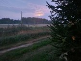 Parduodame sodybą vienkiemyje Kupiškio raj. - nuotraukos Nr. 19