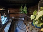Parduodame sodybą vienkiemyje Kupiškio raj. - nuotraukos Nr. 16