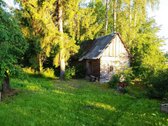 Parduodame sodybą vienkiemyje Kupiškio raj. - nuotraukos Nr. 15