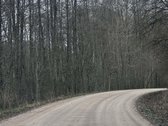 Parduodamas Jaukus Didelis Sklypas Su - nuotraukos Nr. 18
